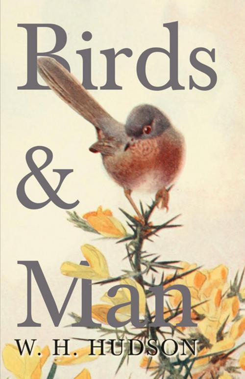 Cover of the book Birds and Man by William Henry Hudson, Read Books Ltd.