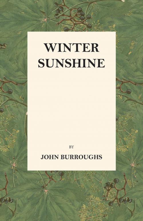 Cover of the book Winter Sunshine by John Burroughs, Read Books Ltd.