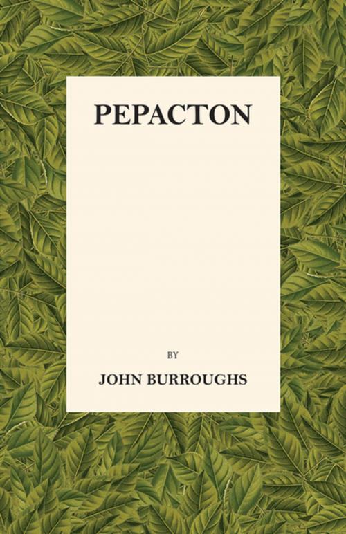 Cover of the book Pepacton by John Burroughs, Read Books Ltd.
