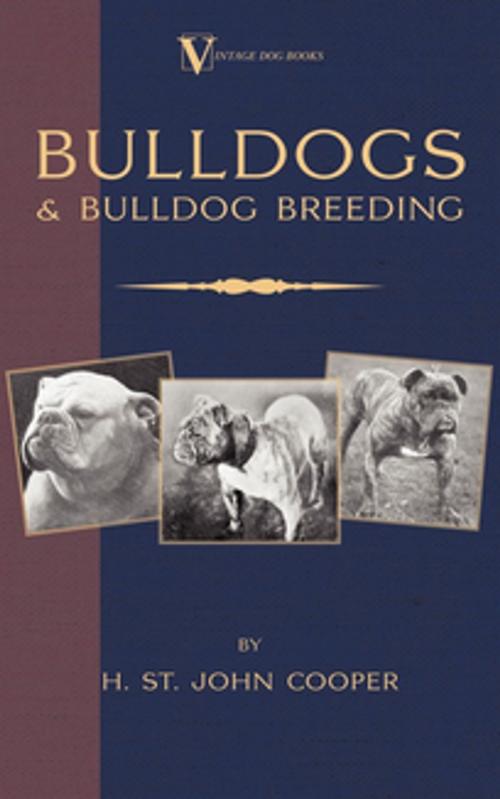 Cover of the book Bulldogs and Bulldog Breeding (A Vintage Dog Books Breed Classic) by H. St. John Cooper, Read Books Ltd.