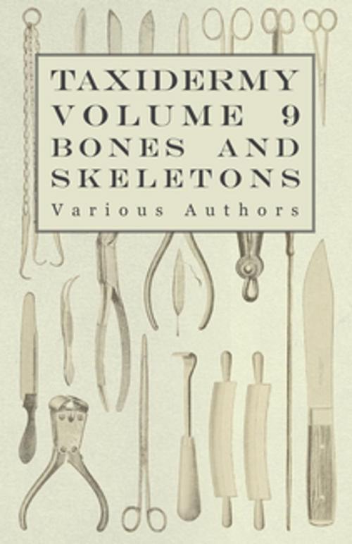 Cover of the book Taxidermy Vol. 9 Bones and Skeletons - The Collection, Preparation and Mounting of Bones by Various, Read Books Ltd.