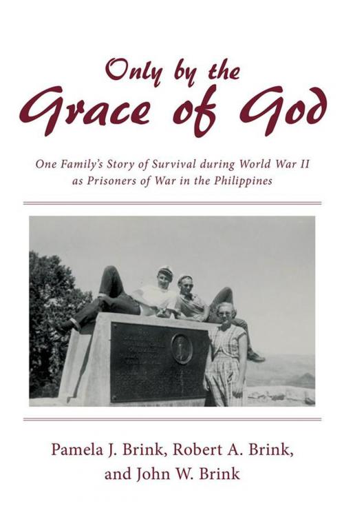 Cover of the book Only by the Grace of God by Pamela J. Brink, Archway Publishing