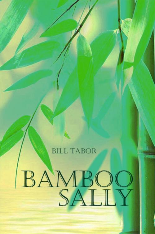 Cover of the book Bamboo Sally by Bill Tabor, Dorrance Publishing