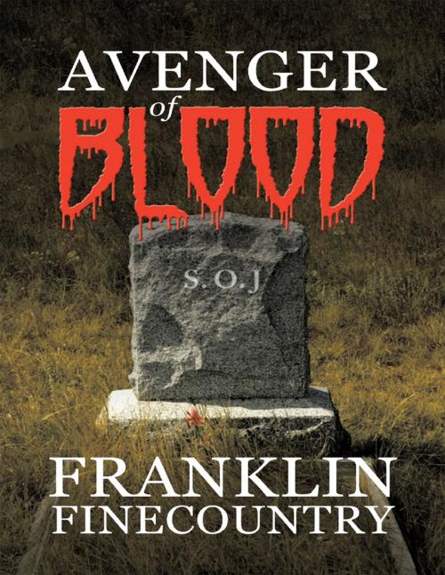 Cover of the book Avenger of Blood by Franklin Finecountry, Lulu Publishing Services