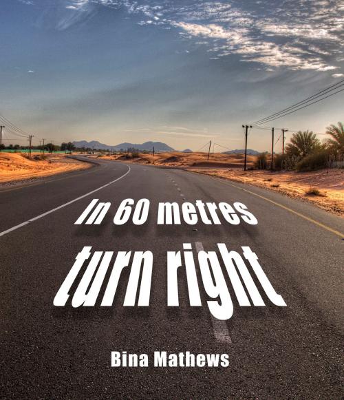 Cover of the book In 60 Metres turn right by Bina Mathews, BookBaby