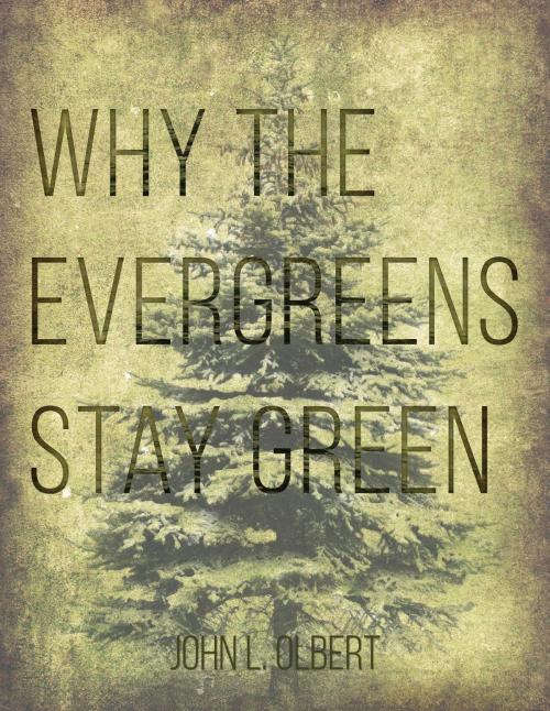 Cover of the book Why the Evergreens Stay Green by John L. Olbert, BookBaby