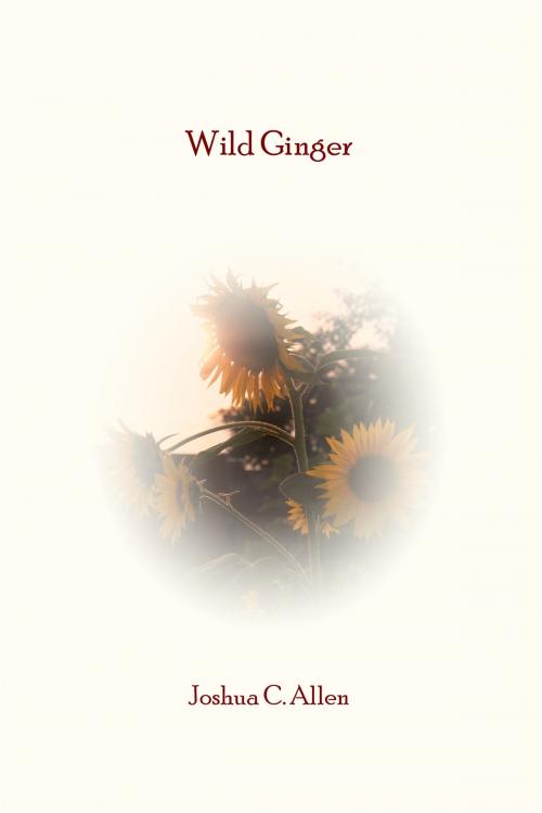 Cover of the book Wild Ginger by Joshua C. Allen, BookBaby