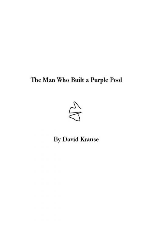 Cover of the book The Man Who Built a Purple Pool by David Krause, BookBaby