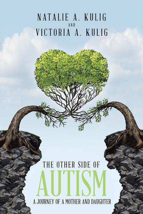 Cover of the book The Other Side of Autism by Natalie Kulig, Trafford Publishing