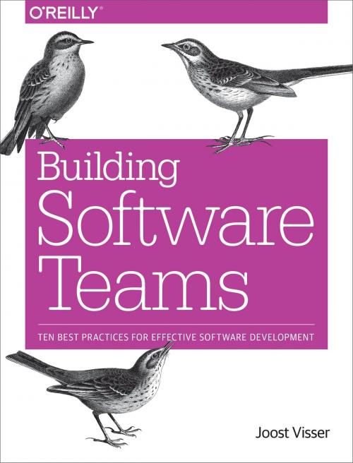 Cover of the book Building Software Teams by Joost Visser, Sylvan Rigal, Gijs Wijnholds, Zeeger Lubsen, O'Reilly Media