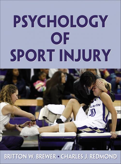 Cover of the book Psychology of Sport Injury by Britton W. Brewer, Charles J. Redmond, Human Kinetics, Inc.