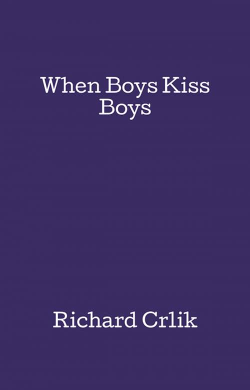 Cover of the book When Boys Kiss Boys by Richard Crlik, FastPencil, Inc.
