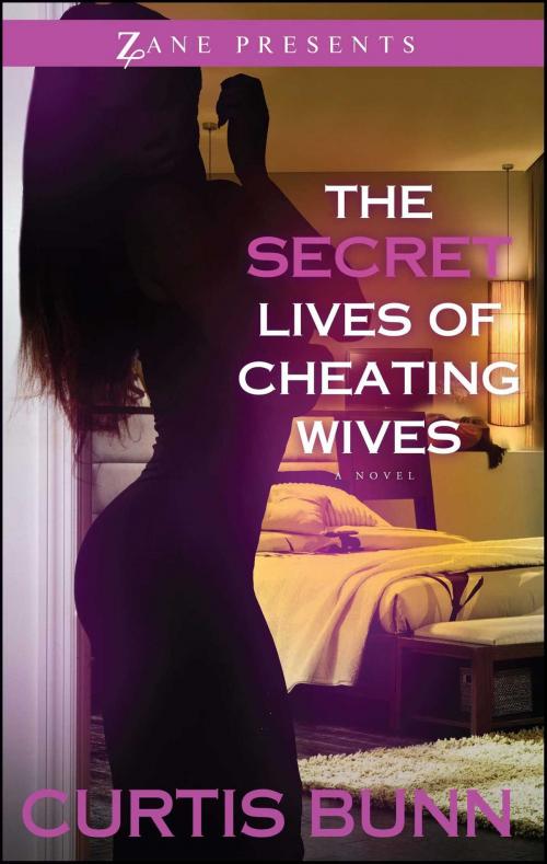 Cover of the book Secret Lives of Cheating Wives by Curtis Bunn, Strebor Books