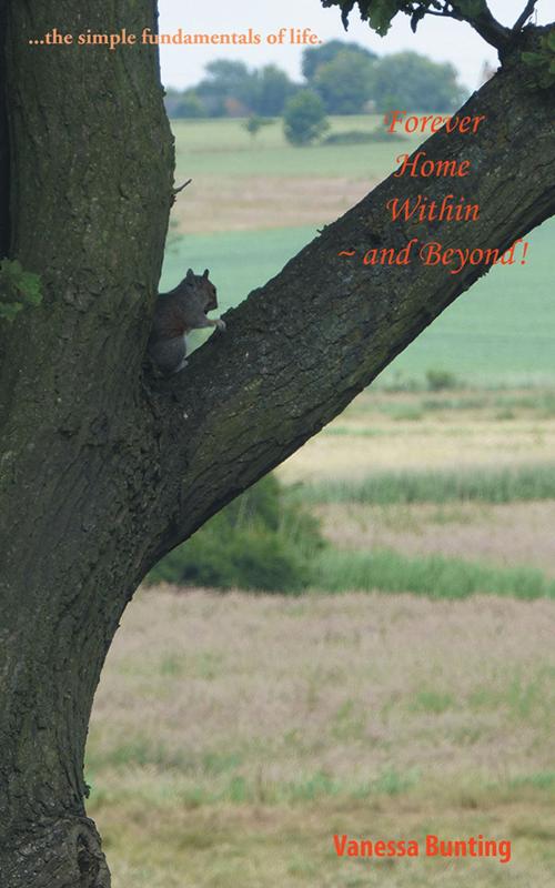 Cover of the book Forever Home Within ~ and Beyond! by Vanessa Bunting, Balboa Press