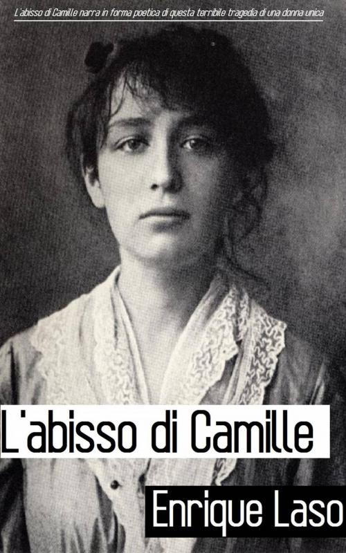 Cover of the book L'abisso di Camille by Enrique Laso, Babelcube Inc.