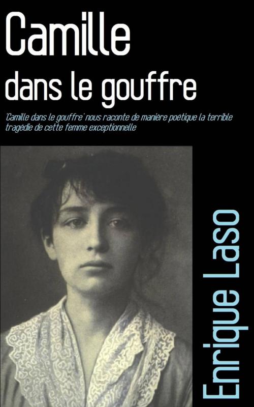 Cover of the book Camille dans le gouffre by Enrique Laso, Babelcube Inc.