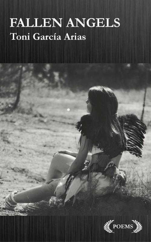 Cover of the book Fallen Angels by Toni García Arias, Babelcube Inc.