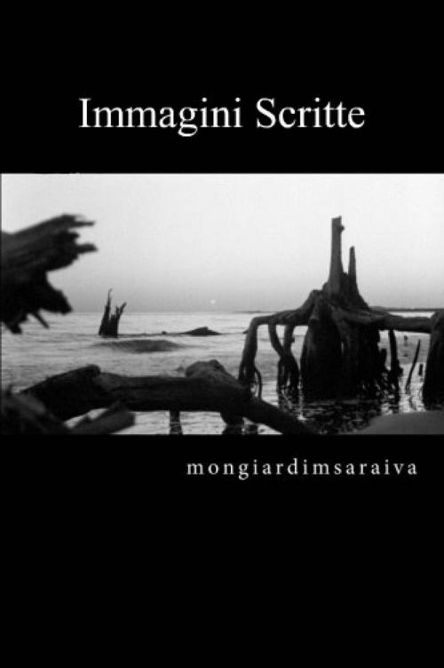 Cover of the book Immagini Scritte by Antonio Carlos Mongiardim Gomes Saraiva, Babelcube Inc.