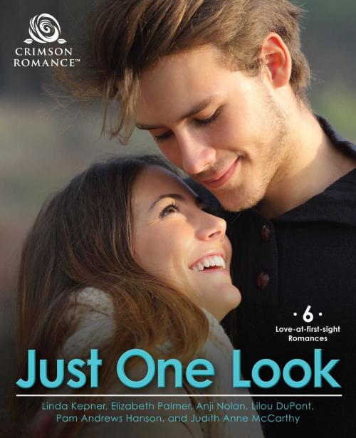 Cover of the book Just One Look by Linda Kepner, Elizabeth Palmer, Anji Nolan, Lilou Dupont, Pam Andrews Hanson, Judith Anne Mccarthy, Crimson Romance