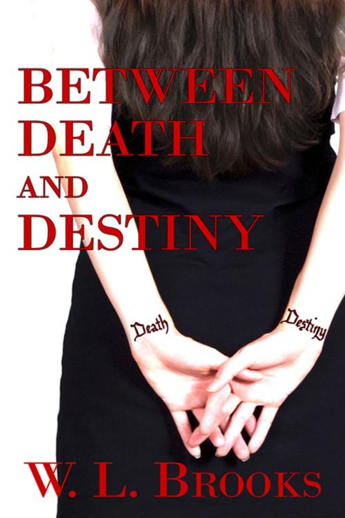 Cover of the book Between Death and Destiny by W. L. Brooks, The Wild Rose Press, Inc.
