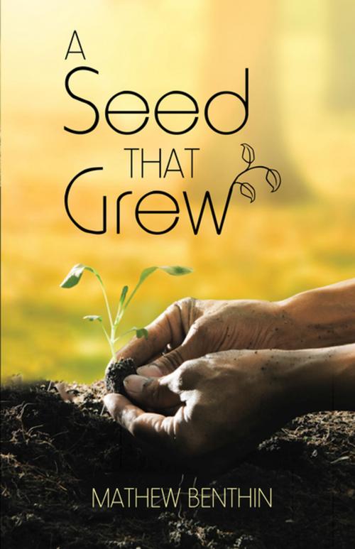 Cover of the book A Seed That Grew by Mathew Benthin, WestBow Press
