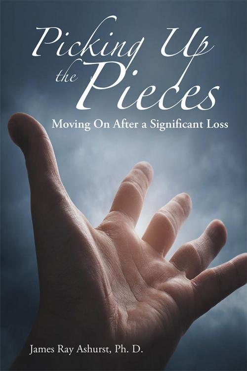 Cover of the book Picking up the Pieces by James Ray Ashurst Ph. D., WestBow Press
