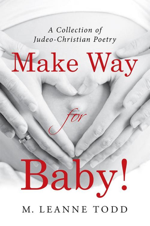 Cover of the book Make Way for Baby! by M. Leanne Todd, WestBow Press