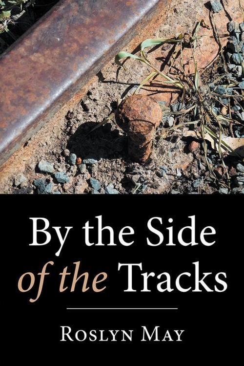 Cover of the book By the Side of the Tracks by Roslyn May, Xlibris AU