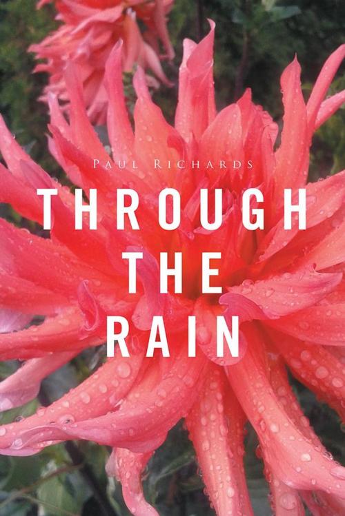 Cover of the book Through the Rain by Paul Richards, Xlibris US