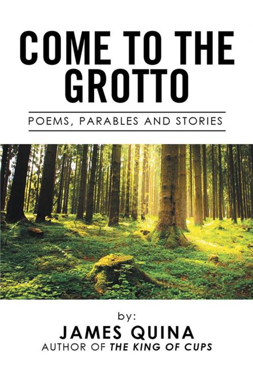 Cover of the book Come to the Grotto by James Quina, Xlibris US