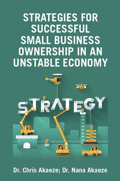 Cover of the book Strategies for Successful Small Business Ownership in an Unstable Economy by Dr. Chris Akaeze, Dr. Nana Akaeze, Xlibris US