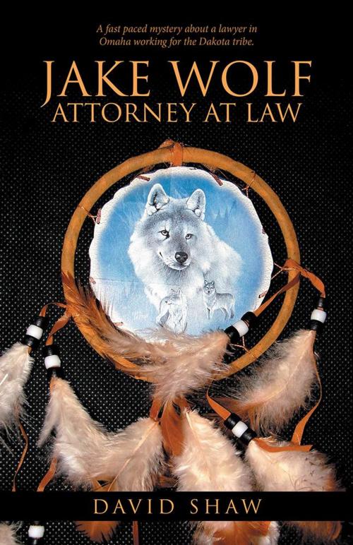Cover of the book Jake Wolf Attorney at Law by David Shaw, iUniverse