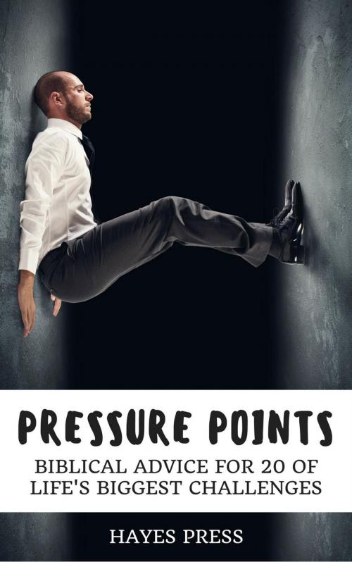 Cover of the book Pressure Points - Biblical Advice for 20 of Life's Biggest Challenges by Hayes Press, Hayes Press