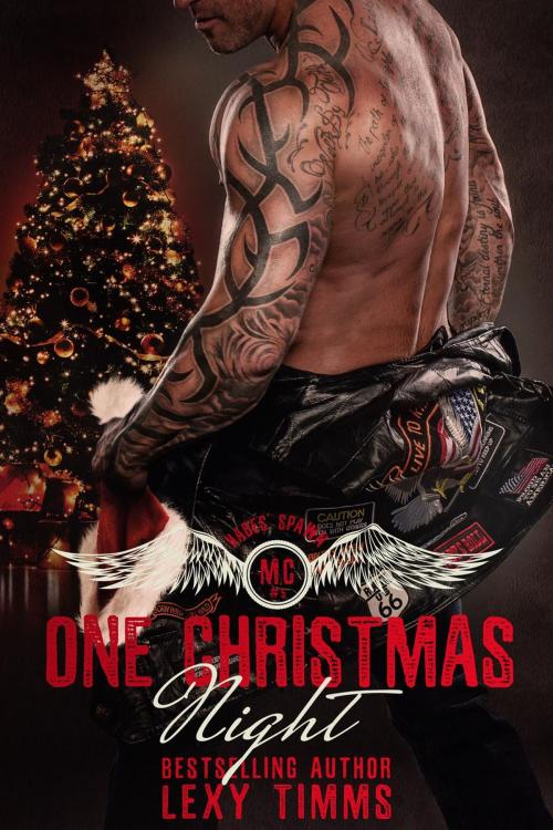 Cover of the book One Christmas Night by Lexy Timms, Dark Shadow Publishing