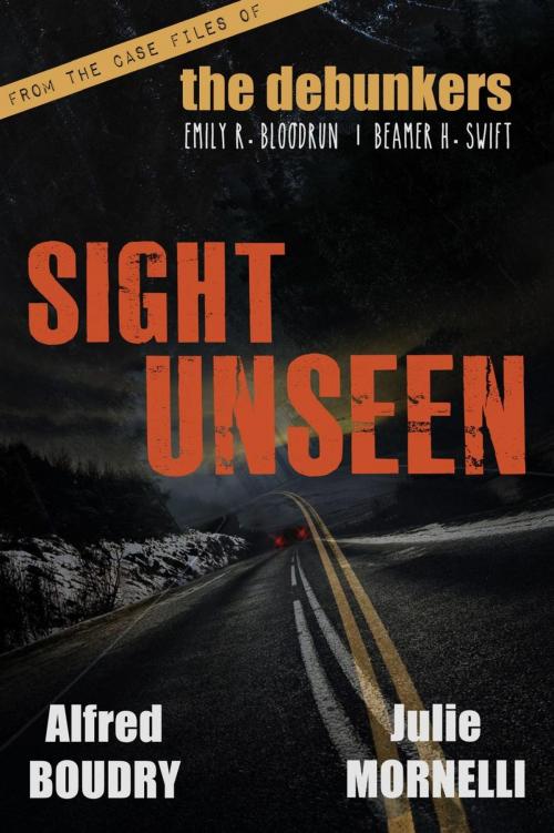 Cover of the book Sight Unseen by Julie Mornelli, ALFRED BOUDRY, Adynata