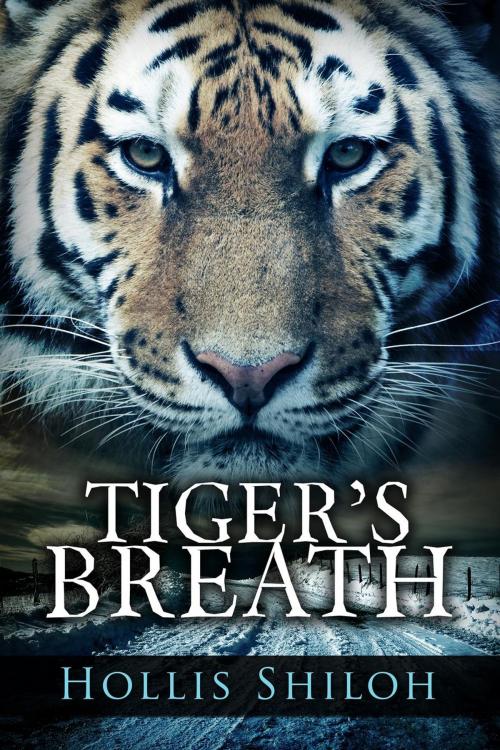 Cover of the book Tiger's Breath by Hollis Shiloh, Spare Words Press