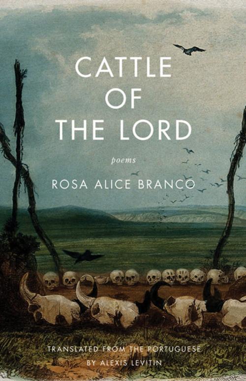 Cover of the book Cattle of the Lord by Rosa Elise Branco, Milkweed Editions