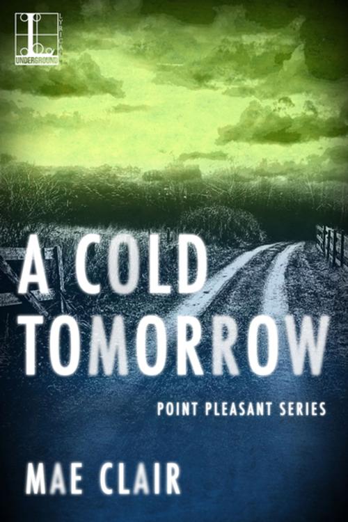 Cover of the book A Cold Tomorrow by Mae Clair, Lyrical Press