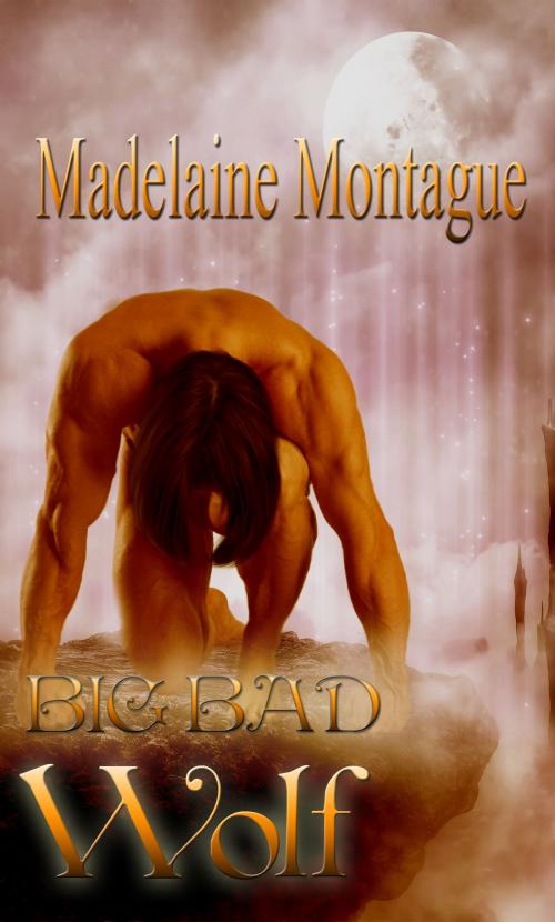 Cover of the book Big Bad Wolf by Madelaine Montague, New Concepts Publishing