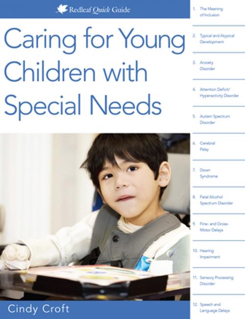 Cover of the book Caring for Young Children with Special Needs by Cindy Croft, Redleaf Press