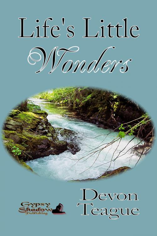 Cover of the book Life's Little Wonders by Devon Teague, Gypsy Shadow Publishing, LLC
