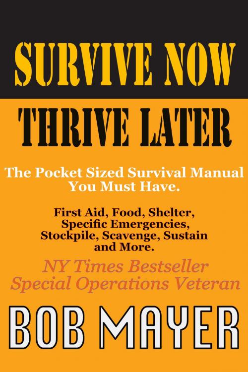 Cover of the book Survive Now Thrive Later by Bob Mayer, Cool Gus Publishing