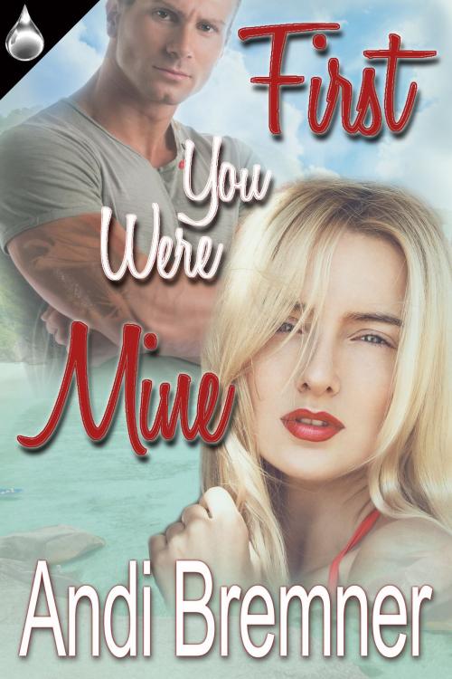 Cover of the book First You Were Mine by Andi Bremner, Liquid Silver Books