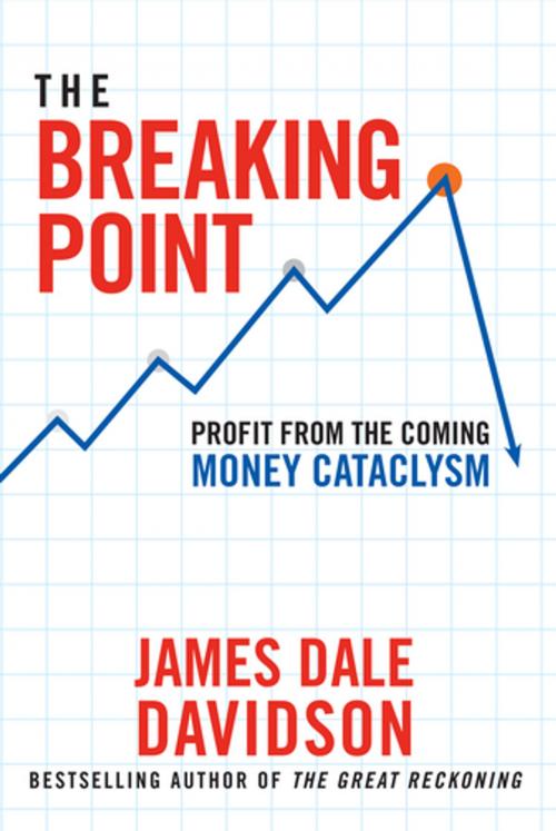 Cover of the book The Breaking Point by James Dale Davidson, Humanix Books