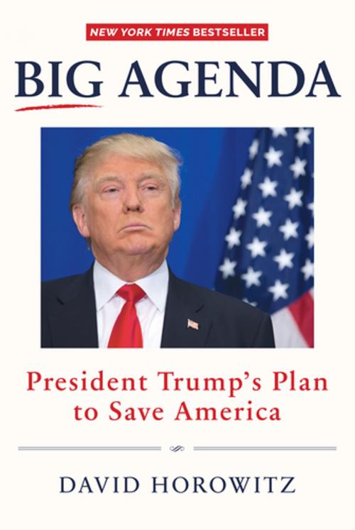 Cover of the book Big Agenda by David Horowitz, Humanix Books