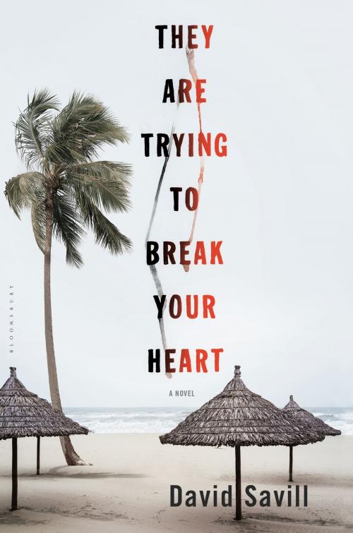 Cover of the book They are Trying to Break Your Heart by David Savill, Bloomsbury Publishing