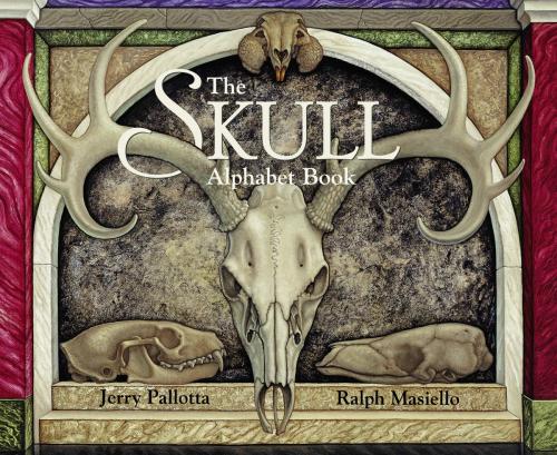 Cover of the book The Skull Alphabet Book by Jerry Pallotta, Charlesbridge