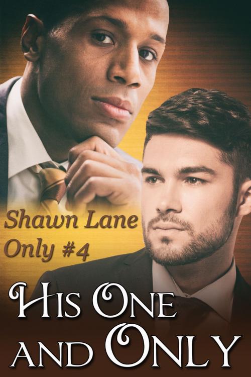 Cover of the book His One and Only by Shawn Lane, JMS Books LLC
