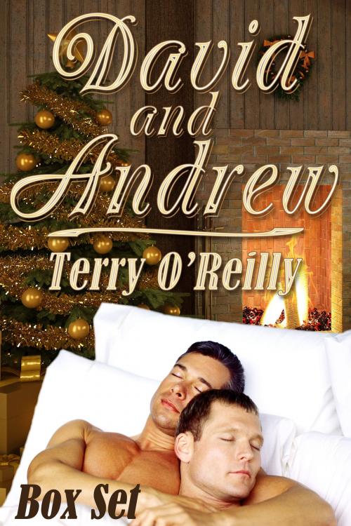 Cover of the book David and Andrew Box Set by Terry O'Reilly, JMS Books LLC
