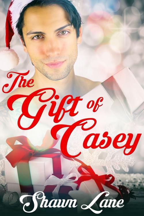 Cover of the book The Gift of Casey by Shawn Lane, JMS Books LLC